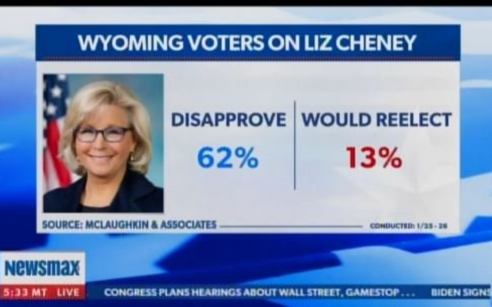 Cheney 13 approval rate in Wyoming Skagit County Republican Party