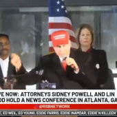<em>Edit Promo Post</em> 2025 Election Integrity