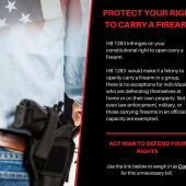 <em>Edit Promo Post</em> 2025 Election Integrity