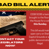 <em>Edit Promo Post</em> Election Integrity