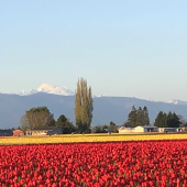 Skagit County Republican's Woman's Group