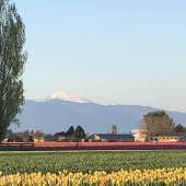Skagit County Republican's Woman's Group
