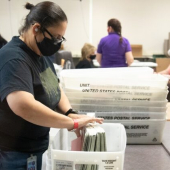 <em>Edit Promo Post</em> 2025 Election Integrity