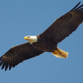<em>Edit Promo Post</em> September 2025 Chairman's Corner Newsletter