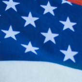 <em>Edit Promo Post</em> 2025 Election Integrity