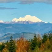 Skagit County Republican Woman 