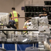 <em>Edit Promo Post</em> 2025 Election Integrity
