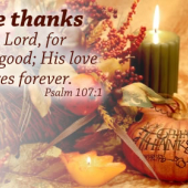 Happy Thanksgiving!