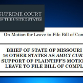 <em>Edit Promo Post</em> 2025 Election Integrity