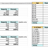 <em>Edit Promo Post</em> 2025 Election Integrity