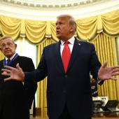 <em>Edit Promo Post</em> 2025 Election Integrity