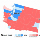 <em>Edit Promo Post</em> Election Integrity