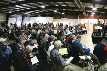 <em>Edit Promo Post</em> Election Integrity <em>Edit Promo Post</em> Election Integrity