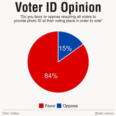 Election Integrity