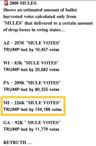 Election Integrity Election Integrity