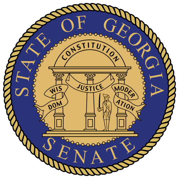 GA Senate Passes Voter I.D. for Mail-in Ballots - Video