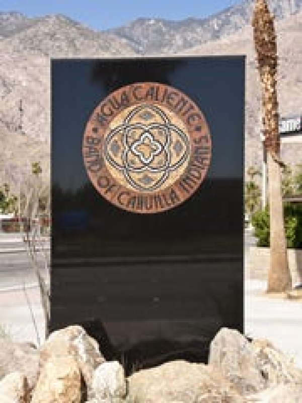 <em>Edit Promo Post</em> Precinct Committee Officers and Precinct Captains Team