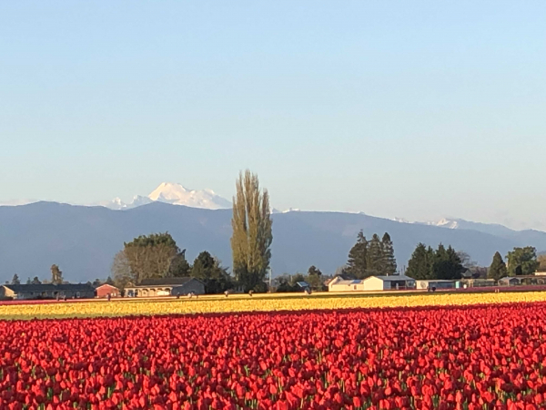 Skagit County Republican's Woman's Group