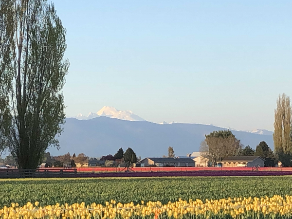 Skagit County Republican's Woman's Group