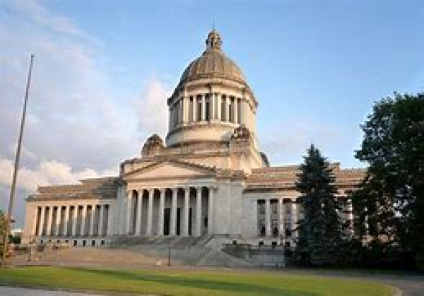 WA State Democrats just voted to extend the governors proclamations indefinitely