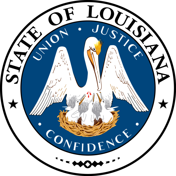 Louisiana Becomes First State to Adopt DOGE Voter Maintenance Database