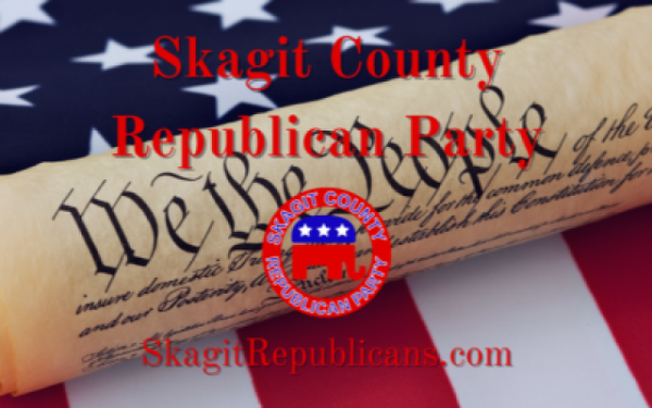 <em>Edit Promo Post</em> Election Integrity