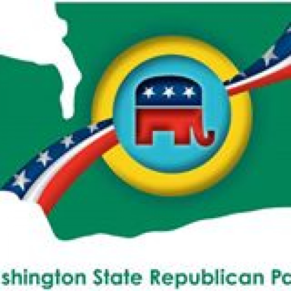 <em>Edit Promo Post</em> Precinct Committee Officers and Precinct Captains Team