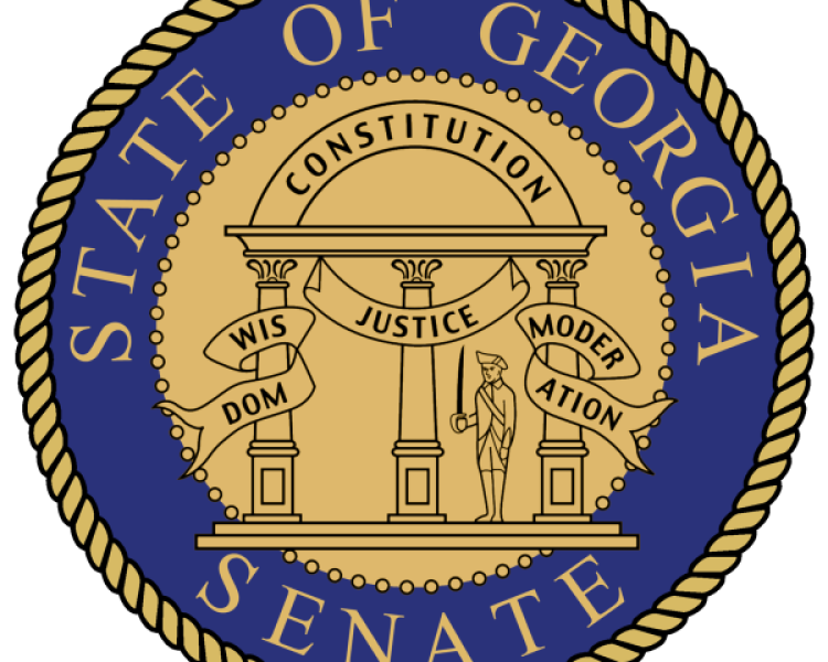 GA Senate Passes Voter I.D. for Mail-in Ballots - Video