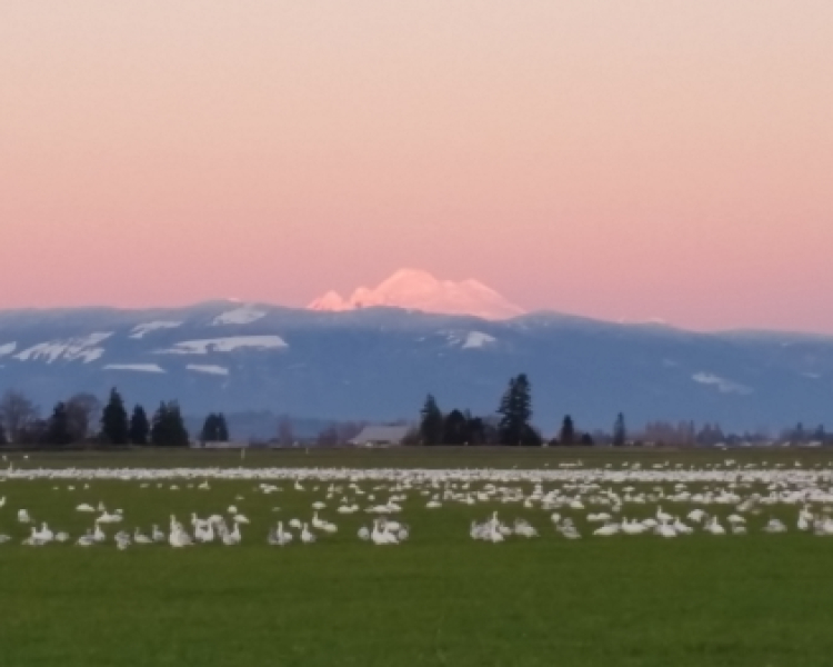 Skagit County Republican Woman