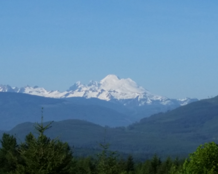 Skagit County Board of Commissioners interviews of LD 39 Senante nominees