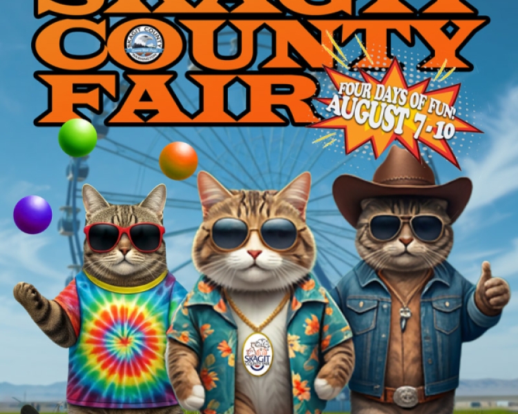 Skagit County Fair