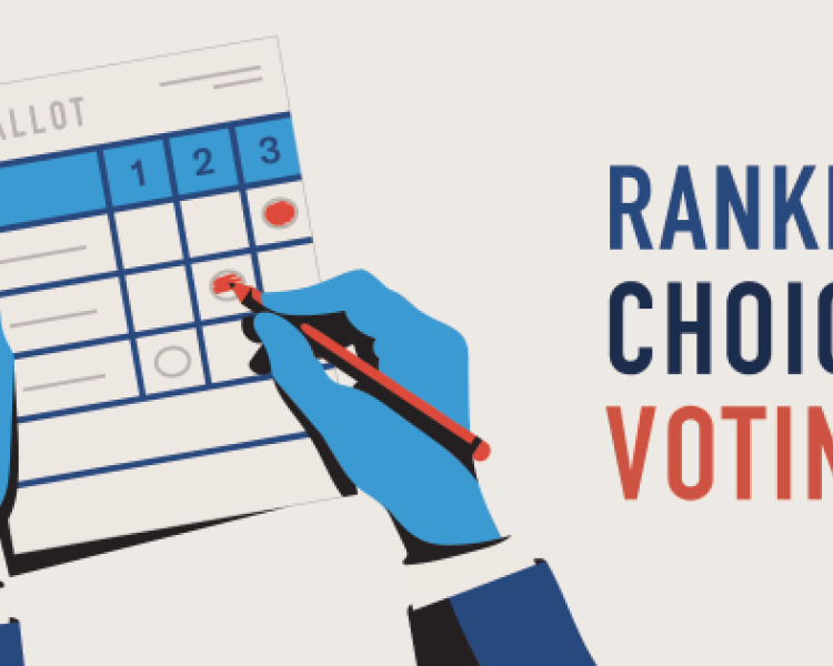 <em>Edit Promo Post</em> Election Integrity