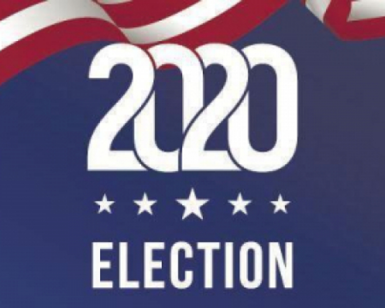 2020 Local Election Results