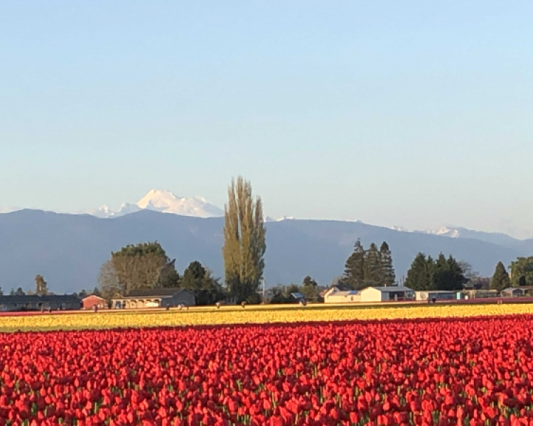 Skagit County Republican's Woman's Group