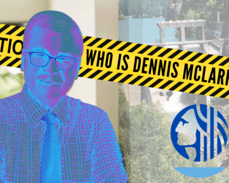 Who Is Dennis McLerran? And Why Seattle City Light Could Not Have Chosen Worse for This Job