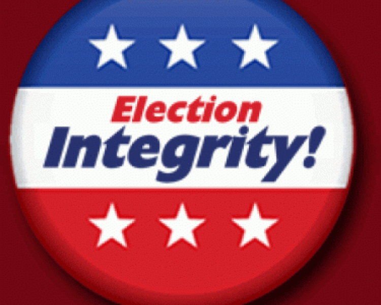 Skagit Voter Integrity Project Summary Report