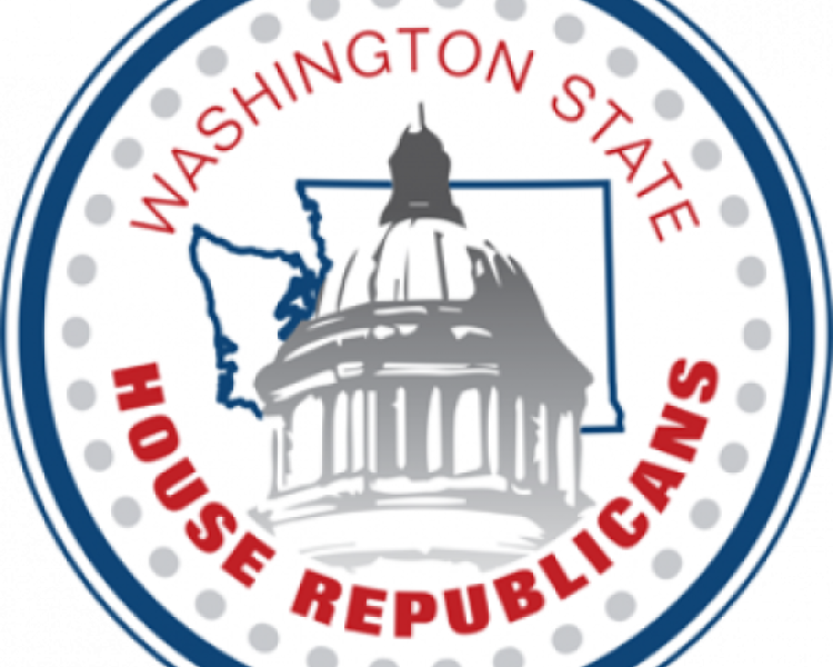 <em>Edit Promo Post</em> Election Integrity