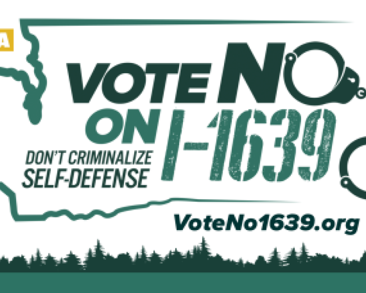 Vote NO on I-1639 Presentation