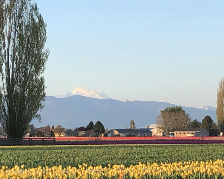 Skagit County Republican Woman's Meeting on August 13th