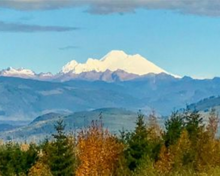 Washington State Republican Party Region 5 Committee Meeting