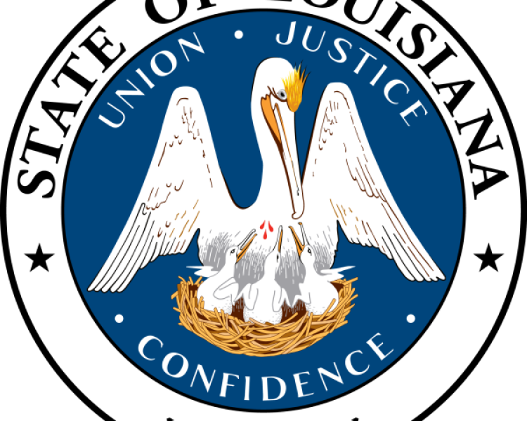 Louisiana Becomes First State to Adopt DOGE Voter Maintenance Database