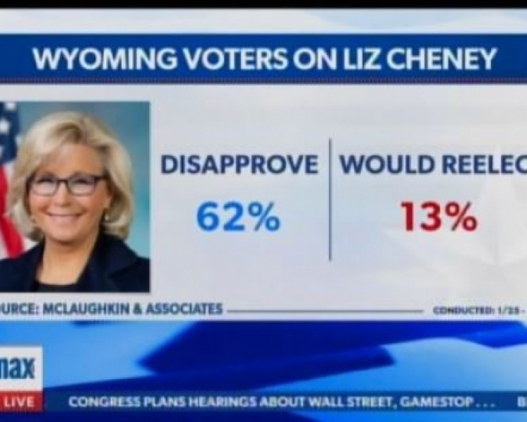 Cheney 13% approval rate in Wyoming