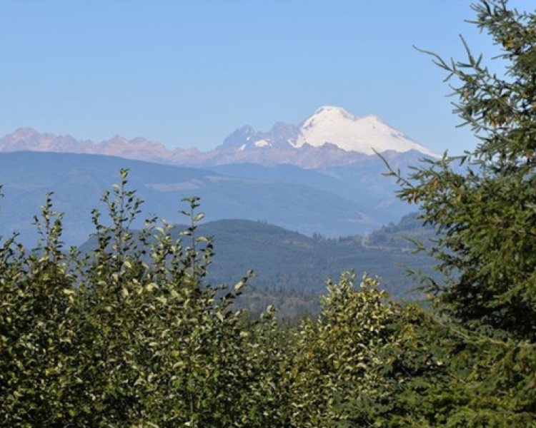 Skagit County Republican Woman