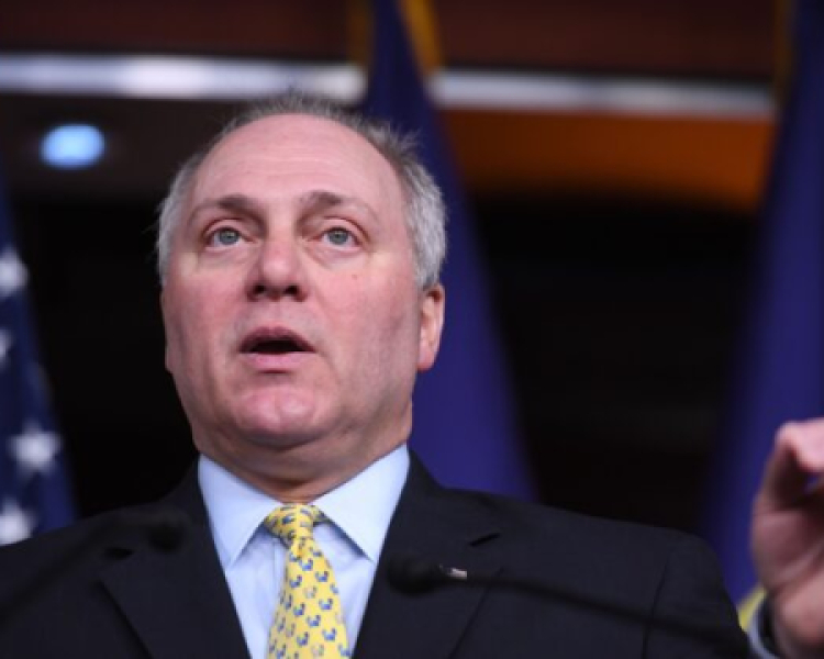 Scalise: Biden Not President-Elect, Legal Process Needs to Play Out