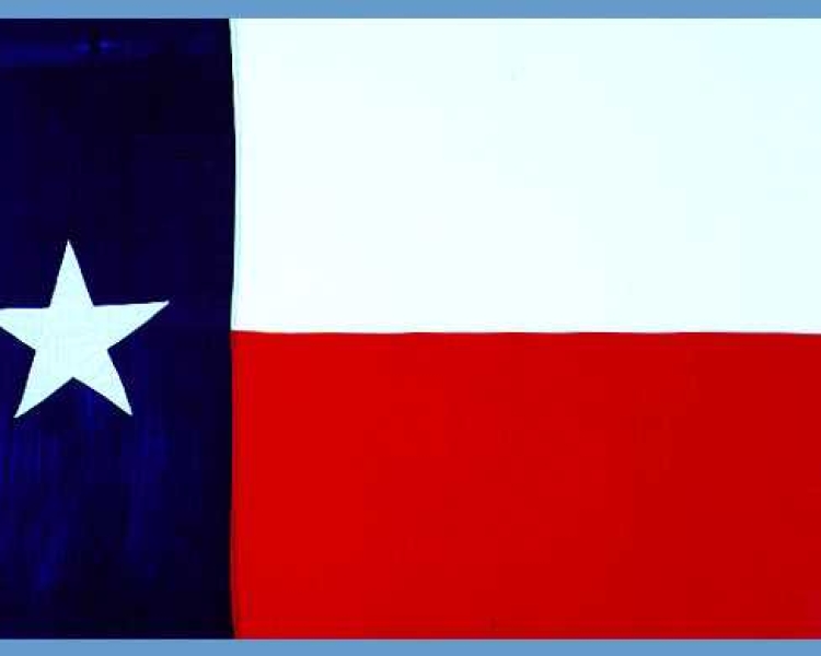 Appeals Court overrules activist judge's blocking of Texas law requiring voter ID for mail-in votes - to prevent voter fraud