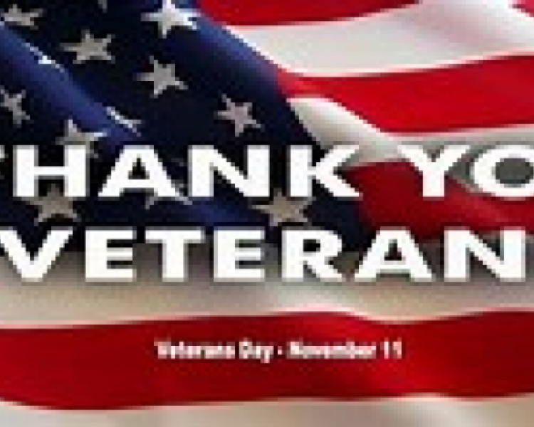 A Celebration of Veterans Day -- Thank You For Your Service!