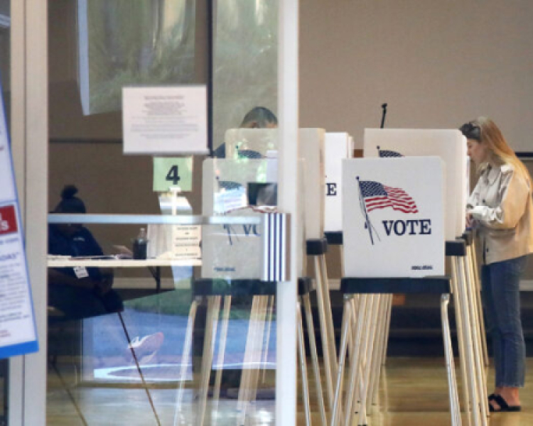 <em>Edit Promo Post</em> Election Integrity