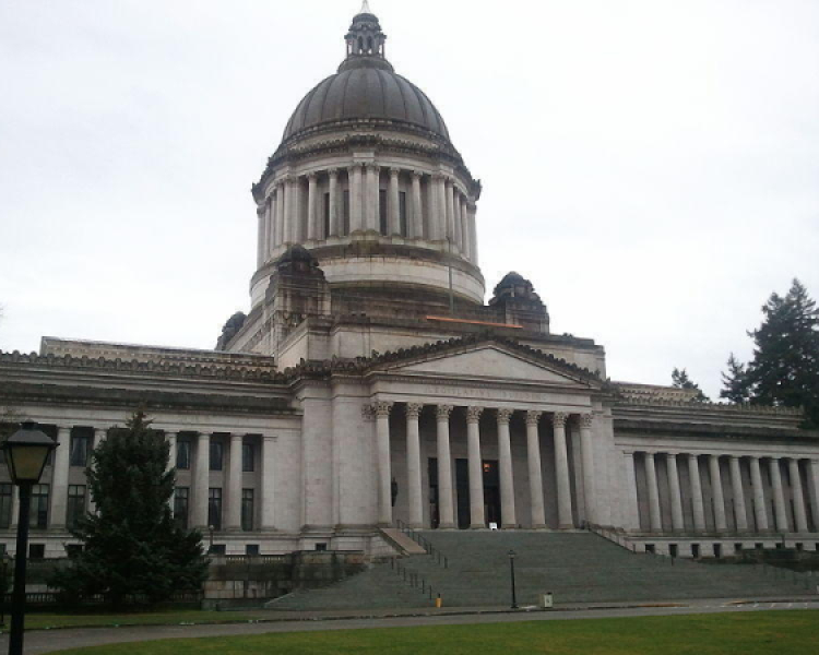 WA Police Reform Bill Seeks To Ban Unleashed Police K9s, Ban Most Pursuits, And More